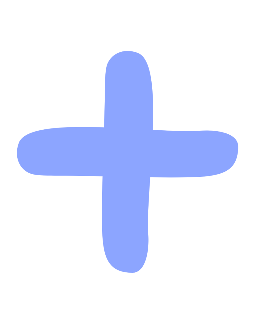 icone plus